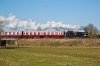 5619-3.jpg