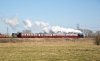 5619-4.jpg