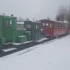 Diesels in the snow.jpg