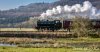 DSC_8904-0.jpg