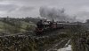 WCME 45699 2b.jpg