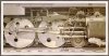 Sheeler_Rolling-Power-sj.jpg
