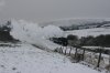 IMG_7480.jpg