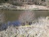 IMG_20180321_103830.jpg