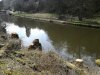 IMG_20180321_111640.jpg
