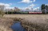 DSC_0789 60163 Heamies 260318.JPG