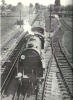 847-bedhampton-1937.png