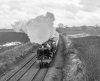 DSC_0812 46100 Wardle bw 040418.JPG