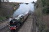 60163 Putney 7.4.2018.jpg