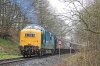D9009 Alycidon.jpg