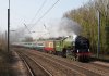 60163-87.jpg