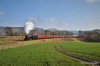 DSC_5549.JPG