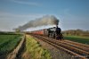 DSC_5577.JPG