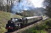 73082 Courtland Wood 14.4.2018.jpg