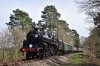 73082 Birch Farm 14.4.2018.jpg