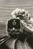 340C5225-75FD-4D3F-9836-EAEC1ABA6858.jpeg