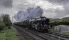 Great Britain 1b (2).jpg