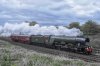 DSC_11445.jpg