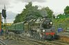 DSC00346lr.jpg