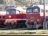 P1060300.JPG
