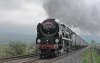 S2030001.JPG