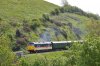 DSC_1126.JPG