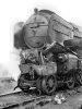 1964-08376-60120-York-16_01_1964-Richard-Postill.jpg
