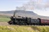 DSC_11706.jpg