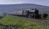 Dalesman 2b (3).jpg