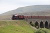 IMG_8241-fbook.jpg