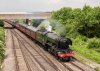 fscotsman.jpg