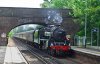 45212 - 020618(2).jpg