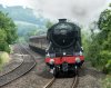 scotsman_02.jpg