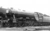 60113A01-1560x974.jpg
