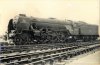 19500000s%20G%20S%20LONG%20LNER%20A1%20Great%20Northern%2060113%20from%20GSL%20files%203.jpg