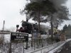 SDC19503.JPG