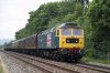 DSC_12437.jpg