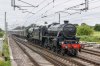 DSC_12444.jpg
