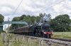 DSC_12454.jpg