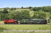 DSC_12629.jpg