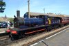 Cromer 2018-06-30 095.JPG