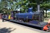 Cromer 2018-06-30 121.JPG