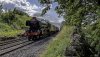 Waverley FS 2b (2).jpg