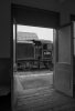DSC_1563 44871 Yorton 210718.JPG