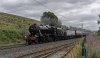 48151 1b (4).jpg