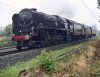 20180728-082855.JPG