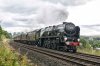 DSC_12915.jpg