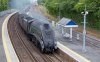 60009 Redbridge 090818 lr.jpg