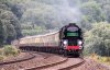 torbay_express.jpg
