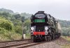 torbay_express_02.jpg